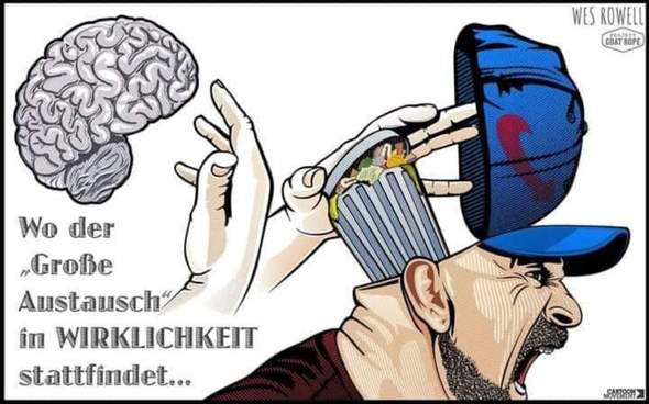 Bild zum Beitrag