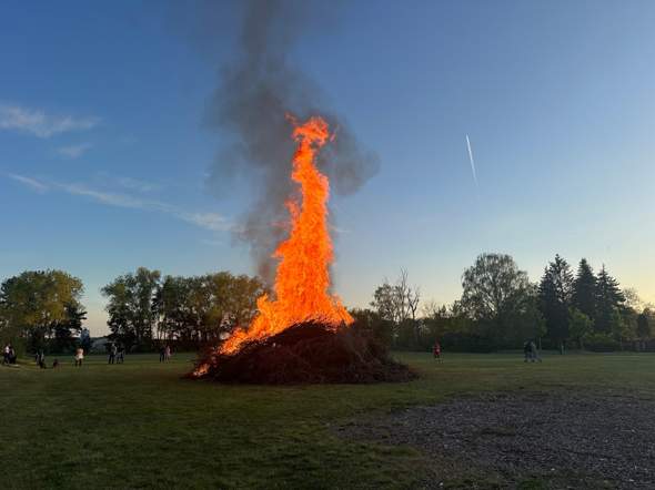 Bild zum Beitrag