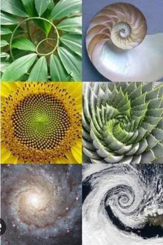 - (Mathematik, Physik, Logik)