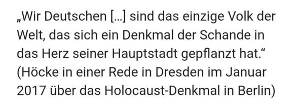 - (Politik, AfD, Rechtsextremismus)