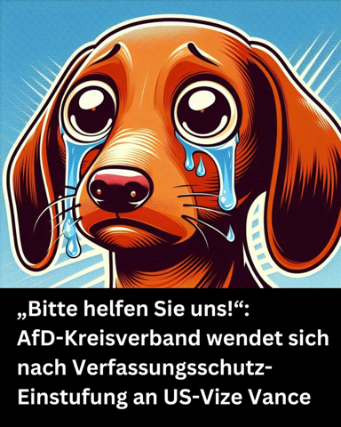 - (Geschichte, Wahlen, Partei)