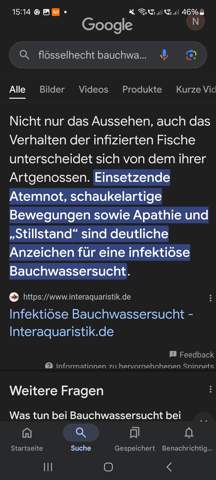 Bild zum Beitrag