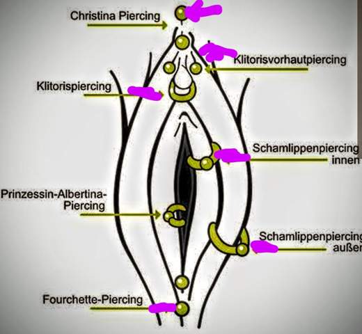- (Sexualität, Penis, Vagina)