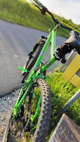 - (Farbe, E-Bike, E-Bike Motor)