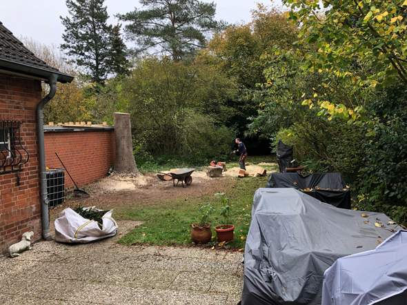 - (Garten, Sicherheit, Baum)