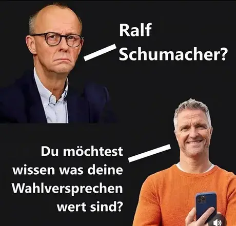 - (Politik, Wahlen, AfD)