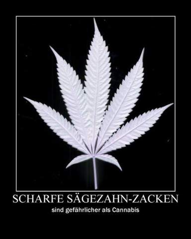 - (Cannabis, kiffen, THC)