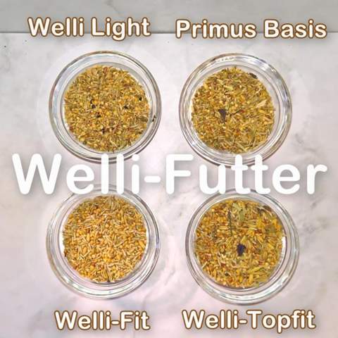 - (Ernährung, Wellensittich, Futter)