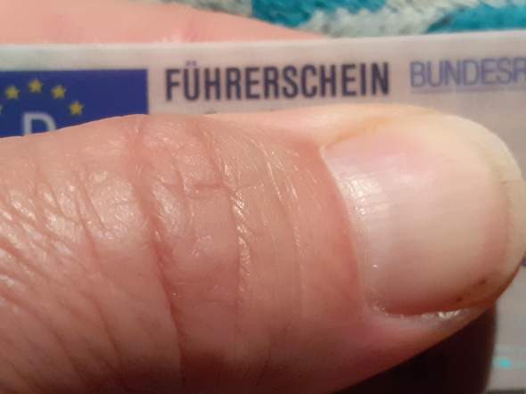 - (Politik, Auto, Polizei)