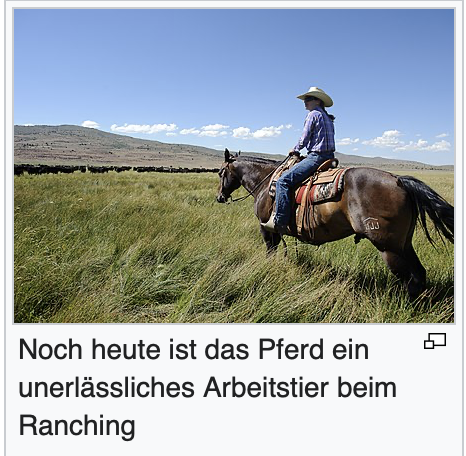 - (Grundstück, hektar)