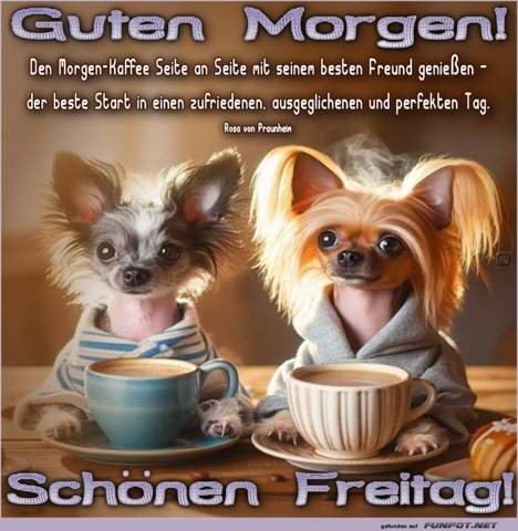 - (Leben, Alltag, Nacht)