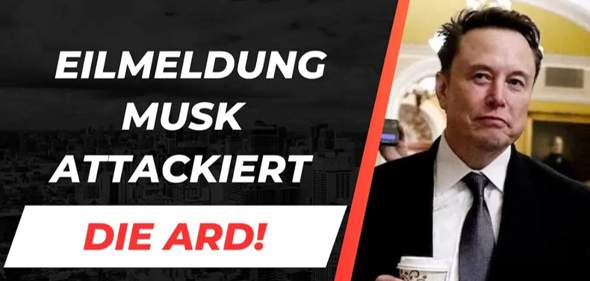 Bild zum Beitrag