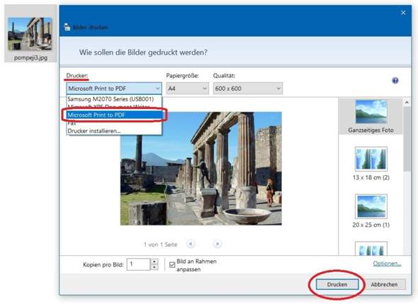 Bild zum Beitrag