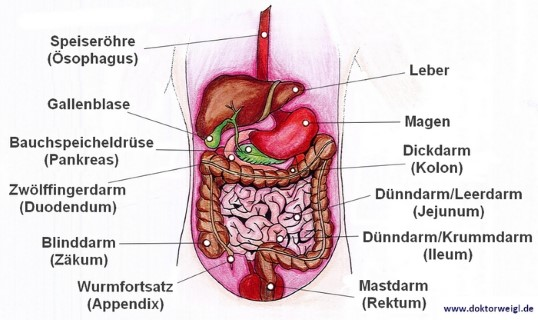 - (Gesundheit, Medizin, Angst)
