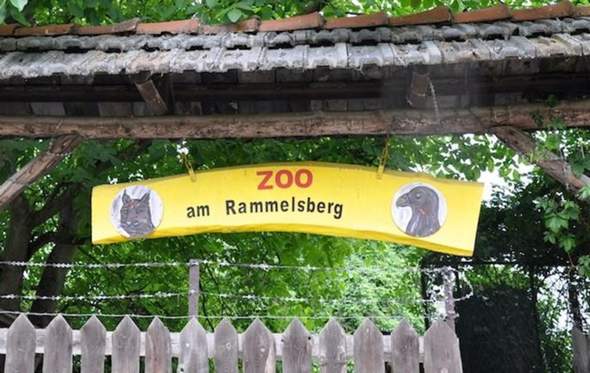 - (Bahn, Ticket, Zug)