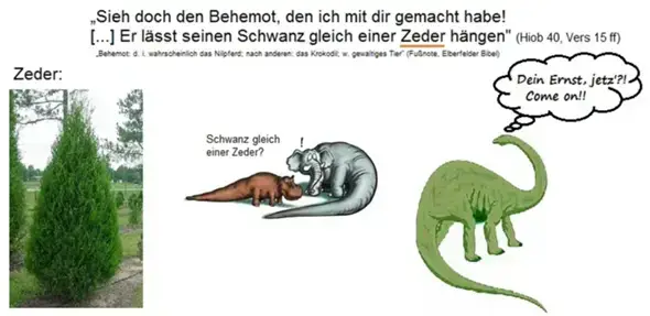 - (Islam, Christentum, Gott)