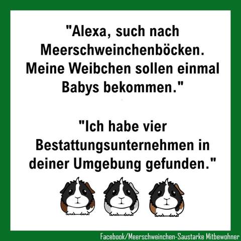 - (Gesundheit, Tiermedizin, Haltung)