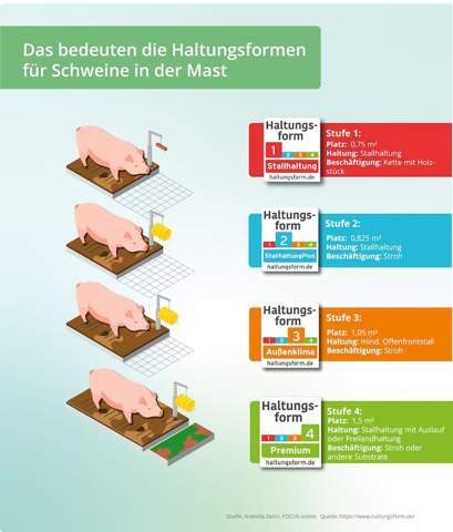 - (Menschen, Essen, Fleisch)