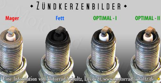 - (Motor, Roller, Tuning)