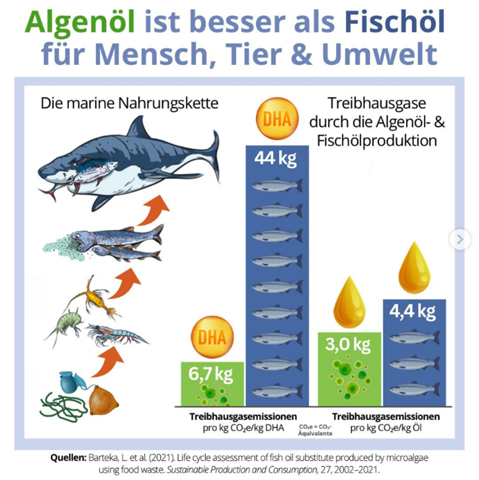 - (Lachs, omega-3)