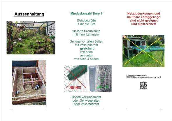- (Gesundheit, Meerschweinchen, Tiermedizin)