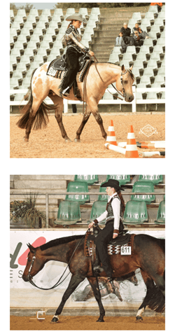 - (Pferd, Reiten, Western)
