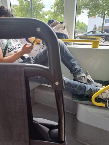 Bild zum Beitrag