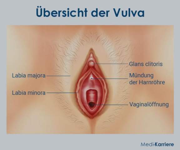 Bild zum Beitrag