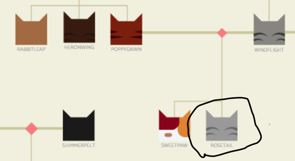 - (Buch, Fantasy, Warrior Cats)