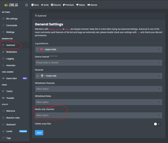 - (Discord, Discord Server)