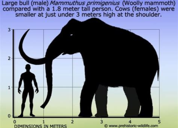 - (Menschen, Dinosaurier)