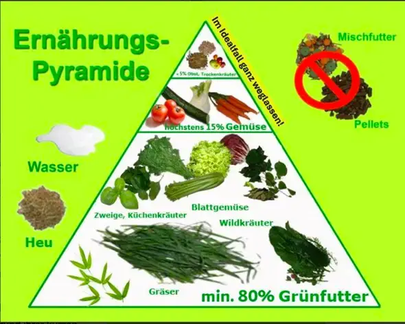 - (Kaninchen, Futter, artgerechte Haltung)