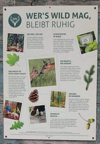 - (Ideen, Spiritualität, Therianthropie)