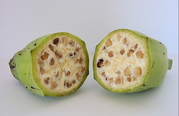 - (Protein, gesunde Ernährung, Hunger)