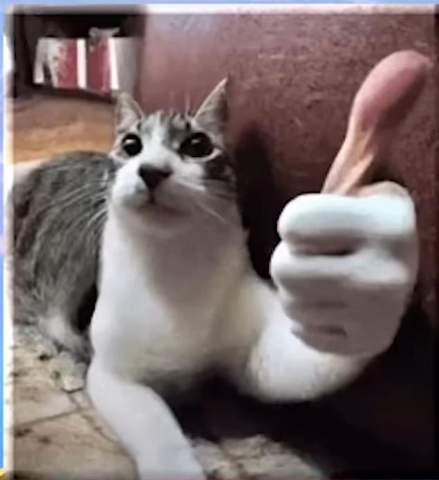- (Internet, Menschen)