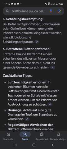 - (Flecken, Pflanzenpflege, Schädlinge)