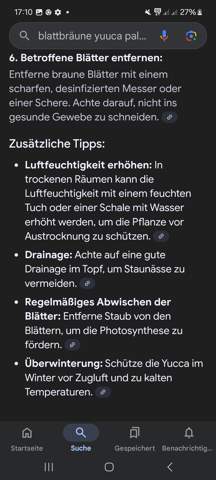 - (Flecken, Pflanzenpflege, Schädlinge)