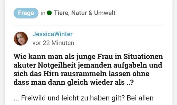 Bild zum Beitrag