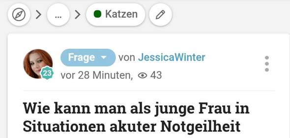 Bild zum Beitrag