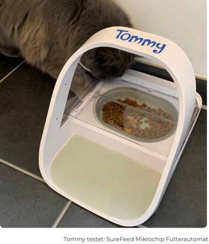 - (Ernährung, Katze, Tierarzt)