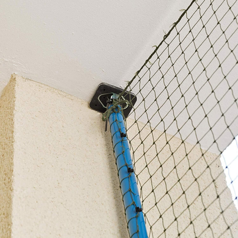 - (Tierhaltung, Hauskatze, Katzenhaltung)