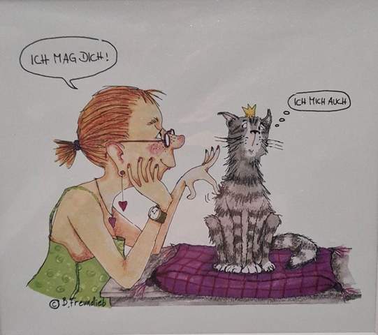 Bild zum Beitrag