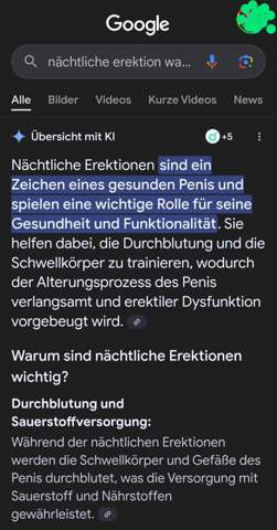 - (Penis, Selbstbefriedigung, Erregung)