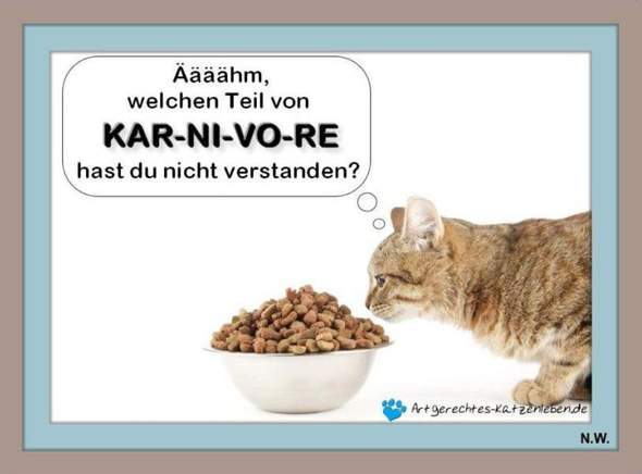 - (Ernährung, Katze, Tiermedizin)