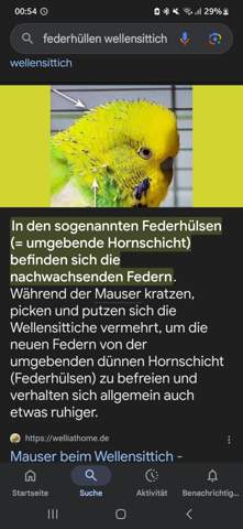 - (Gesundheit, Tierarzt, Tierhaltung)