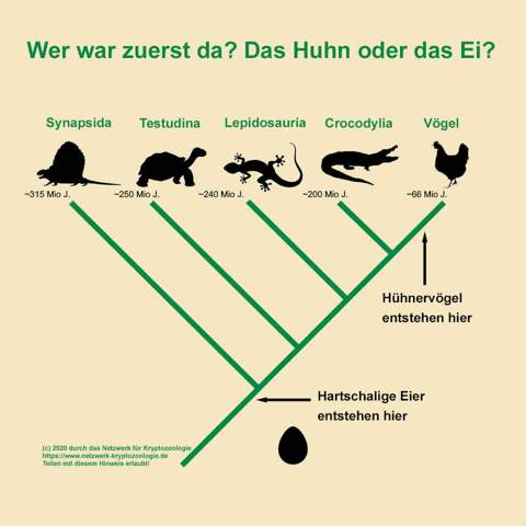 - (Menschen, Naturwissenschaft, Evolution)