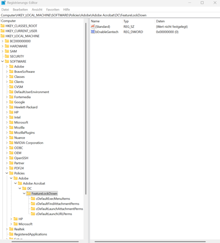 - (Computer, Software, Microsoft)