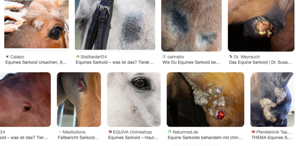 - (Krankheit, Tierarzt, Tiermedizin)