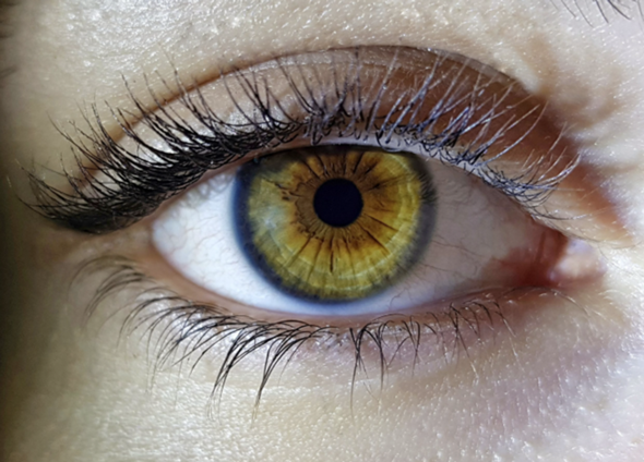 - (Gesundheit, Körper, Augen)