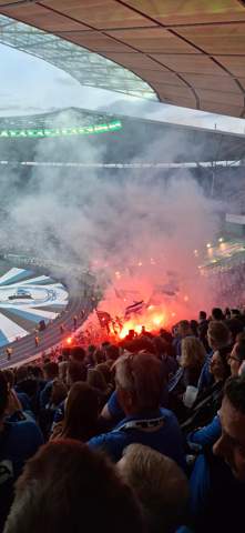 - (Verein, Fan, Fußballspieler)